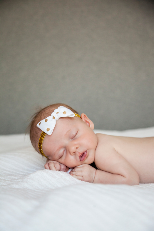Utah newborn portraits